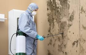 Environmental Consulting for Mold Prevention in Skokie, IL